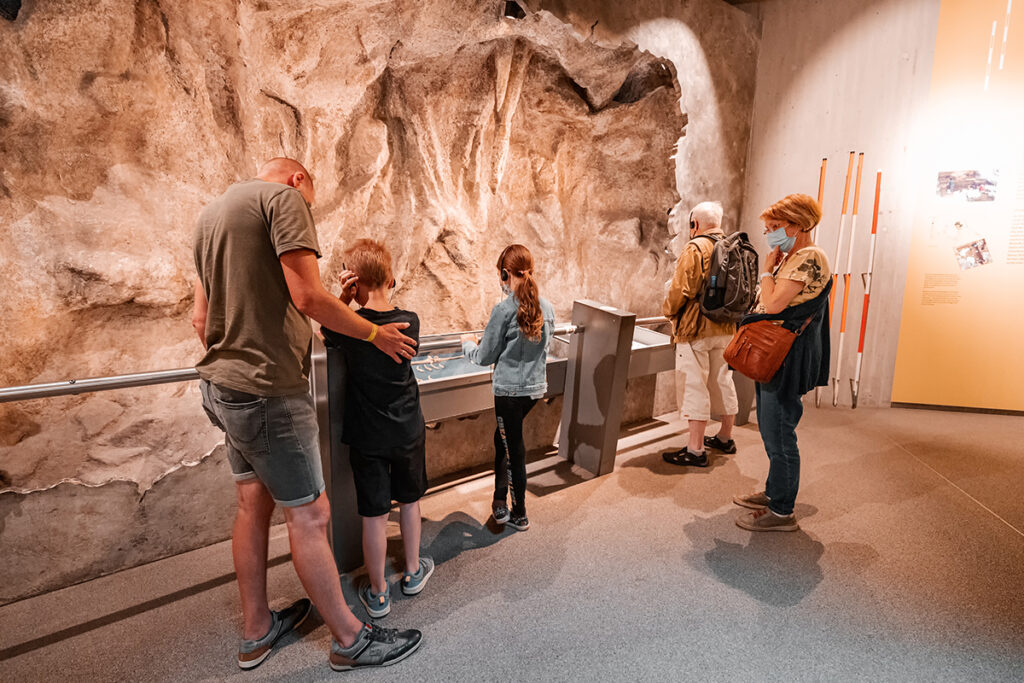 Visitas guiadas BM Arqueología y Patrimonio